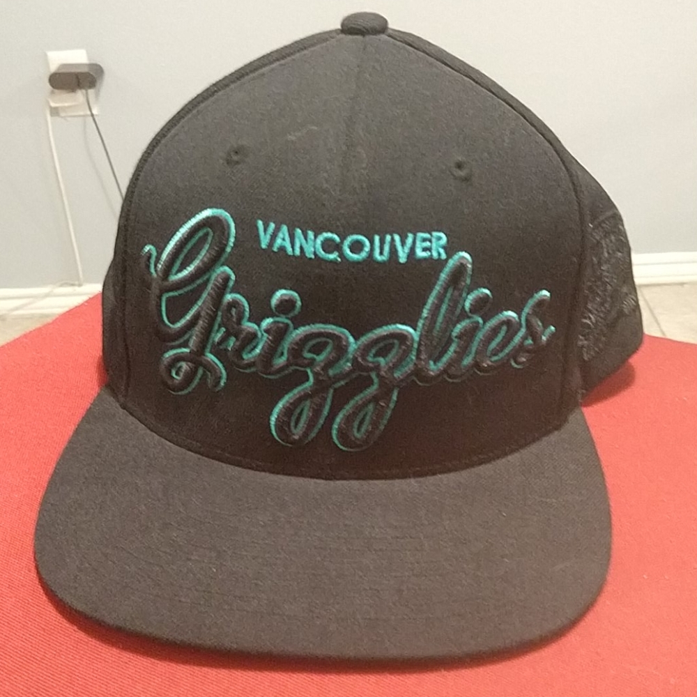 NWOT Mitchell & Ness Vancouver Grizzlies Snapback